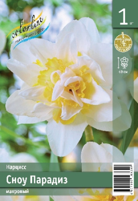 Нарцисс ЭКОНОМ-СЕРИЯ СНОУ ПАРАДИЗ (1 шт)
