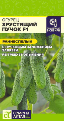 Огурец Хрустящий пучок 5шт