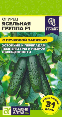 Огурец Ясельная группа 5 шт