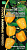 Перец Ранняя сенсация 5шт