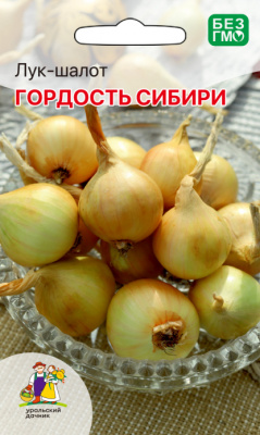 Лук шалот Гордость Сибири 0,25г
