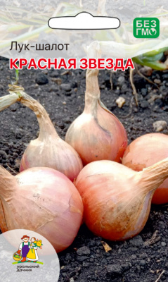 Лук шалот Красная звезда 0,25г