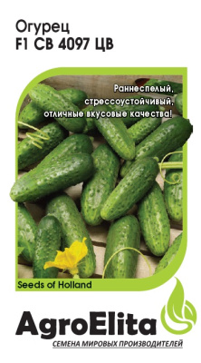 Огурец СВ 4097 ЦВ 5шт (Семинис)