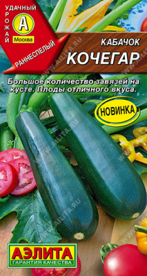 Кабачок Кочегар цукини 1г