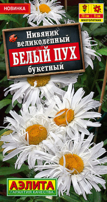 Нивяник Белый пух букетный 25шт