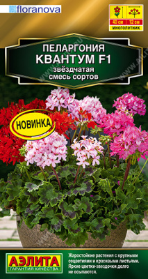 Пеларгония Квантум смесь 4шт