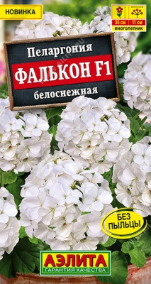 Пеларгония Фалькон белоснежная 4шт