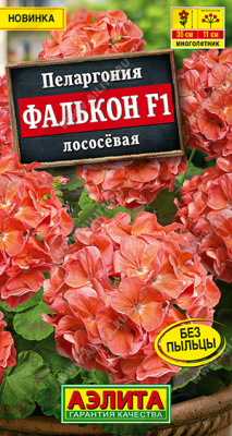 Пеларгония Фалькон лососёвая 4шт
