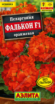 Пеларгония Фалькон оранжевая 4шт
