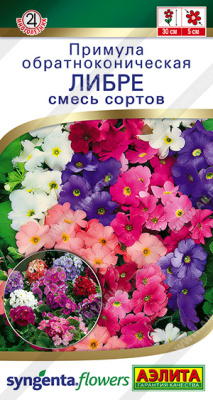 Примула Либре 5шт