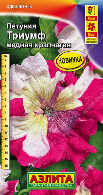 Петуния Триумф медная крапчатая 7шт