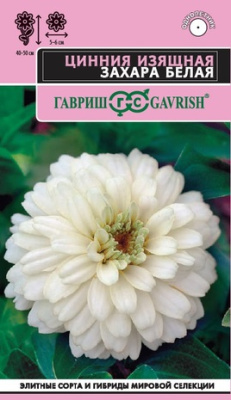 Цинния Захара белая 5шт Эксклюзив