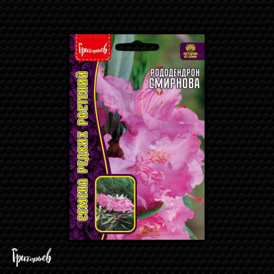 Рододендрон Смирнова 10 шт
