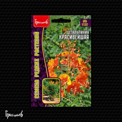 Цезальпиния Красивейшая (Павлиний Цветок) 3 шт